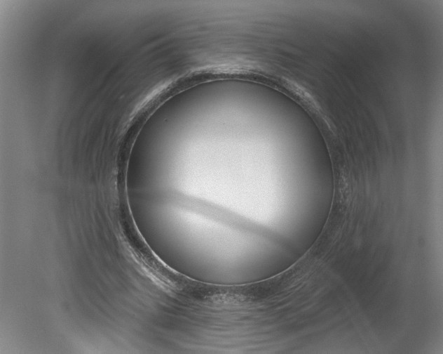 X0000080790535200701021226