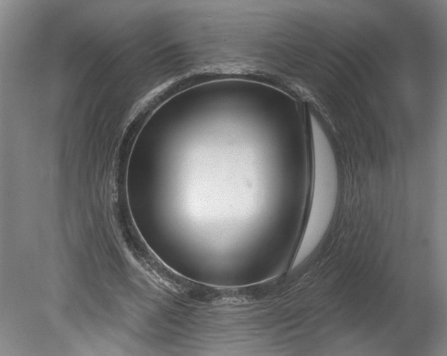 X0000080790536200701021226