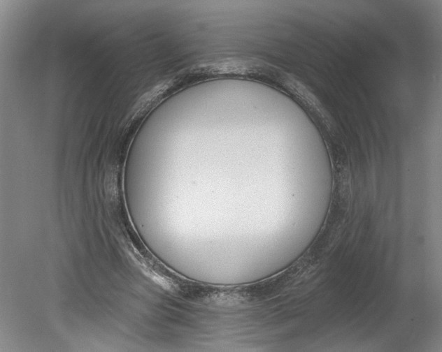 X0000080790537200701021226