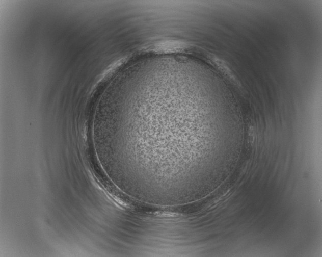 X0000080790539200701021226
