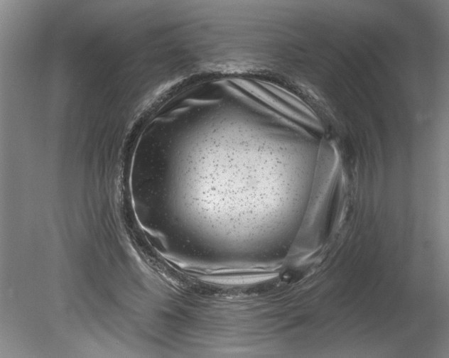 X0000080790540200701021226