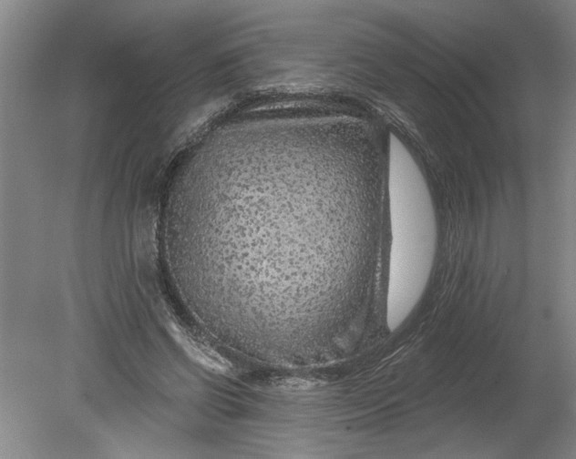 X0000080790542200701021226