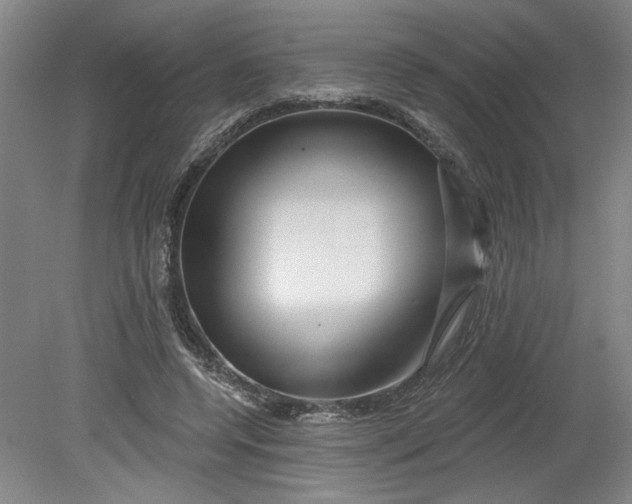 X0000080790544200701021227