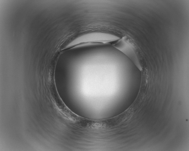 X0000080790546200701021227