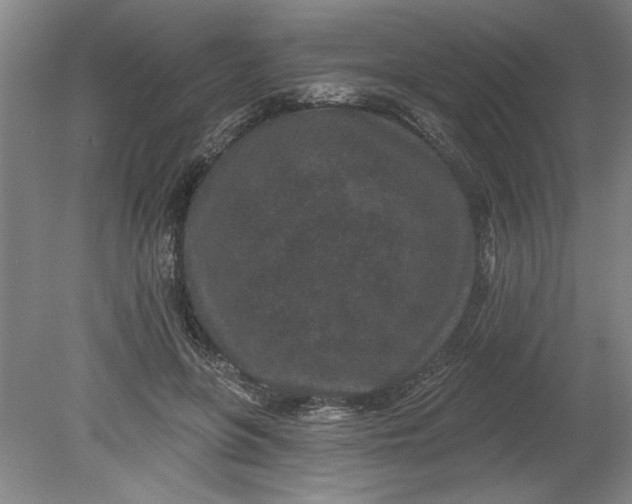 X0000080790551200701021227