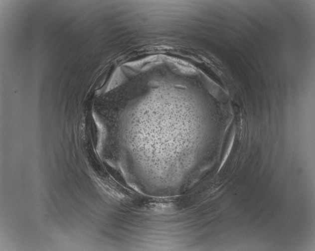 X0000080790552200701021227