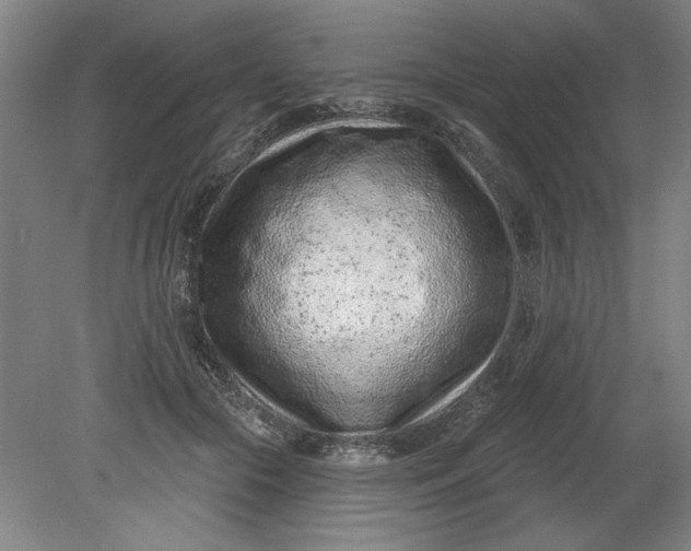 X0000080790553200701021227