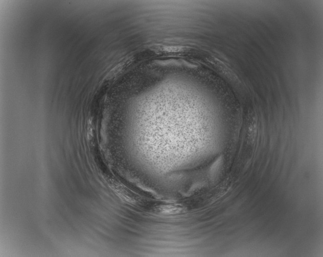 X0000080790555200701021227