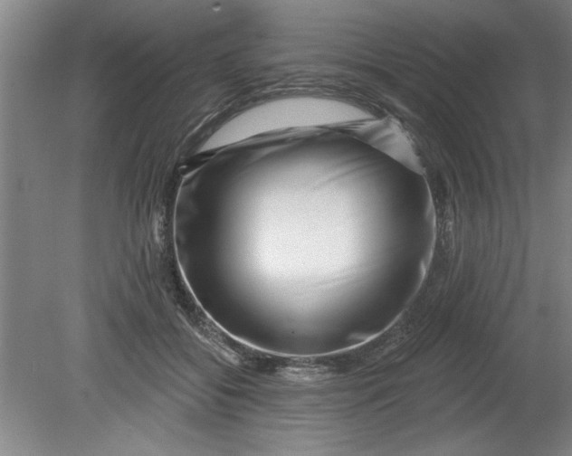 X0000080790556200701021227