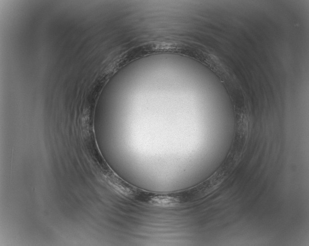 X0000080790557200701021227