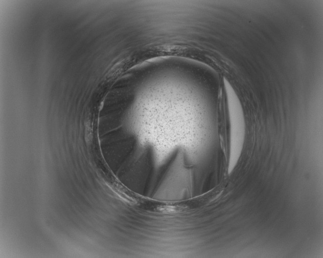 X0000080790558200701021227
