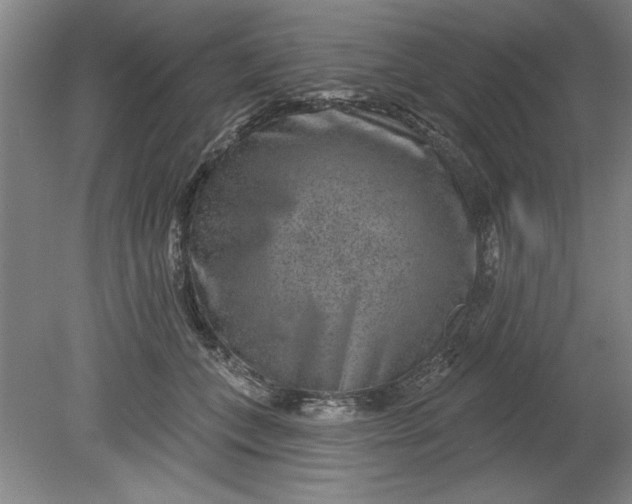 X0000080790559200701021227