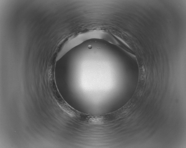 X0000080790560200701021227