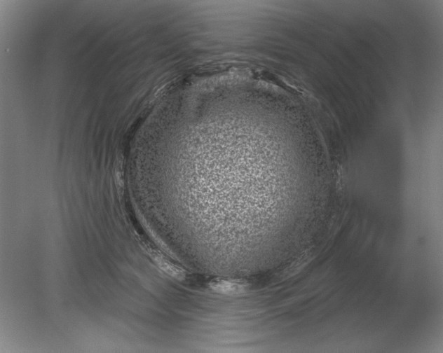 X0000080790561200701021227