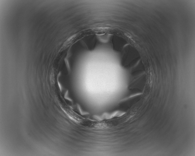 X0000080790562200701021227
