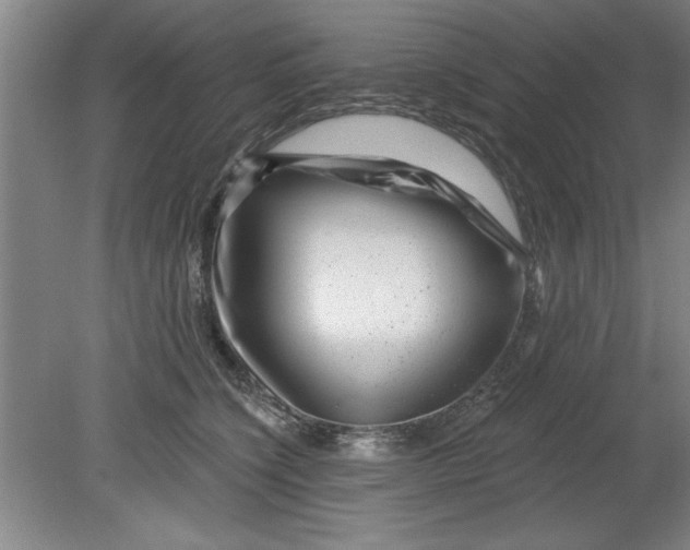 X0000080790564200701021227