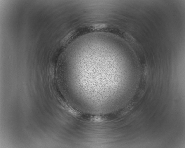 X0000080790565200701021227