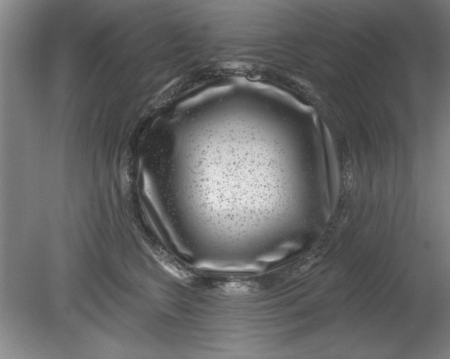 X0000080790566200701021227