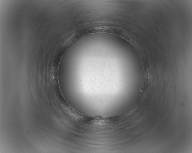 X0000080790567200701021227