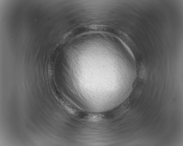 X0000080790569200701021227