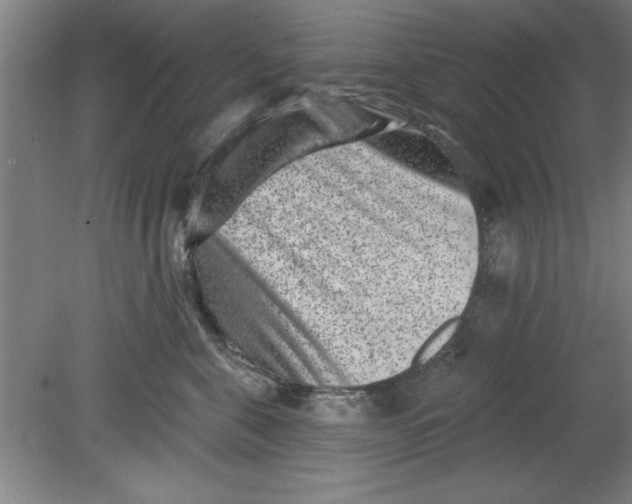 X0000080790571200701021227