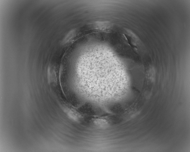 X0000080790572200701021227