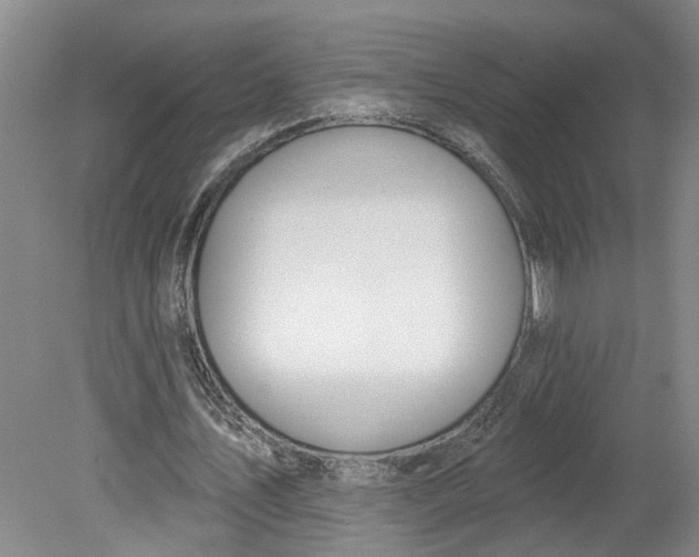 X0000080790579200701021226