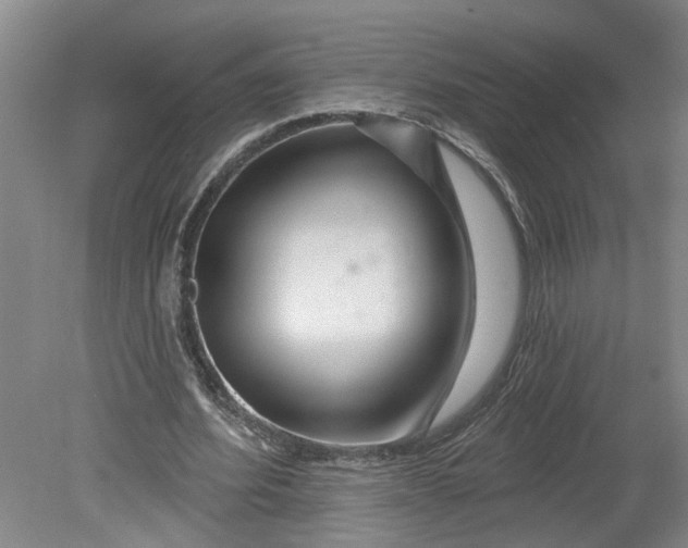 X0000080790580200701021226