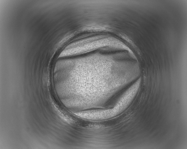 X0000080790582200701021226