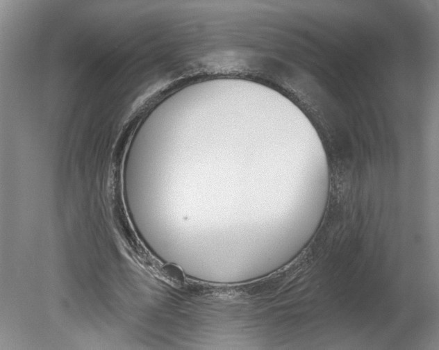 X0000080790583200701021226