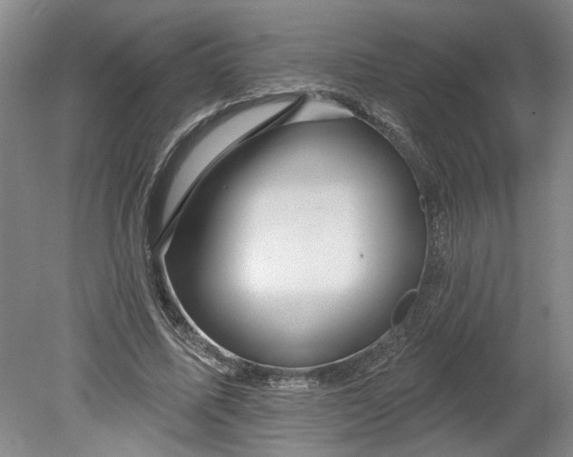X0000080790587200701021226