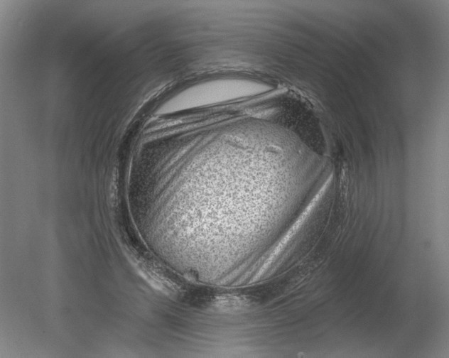 X0000080790591200701021226