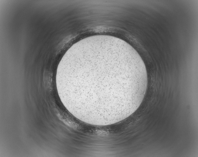 X0000080790592200701021226