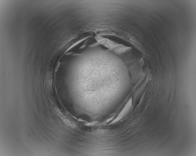 X0000080790593200701021226