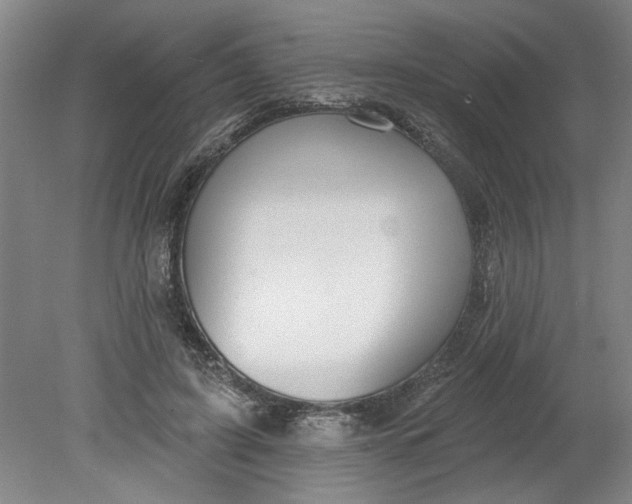 X0000080790595200701021226
