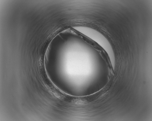 X0000080790597200701021226