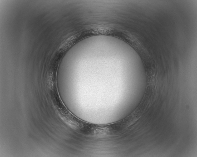 X0000080790599200701021226