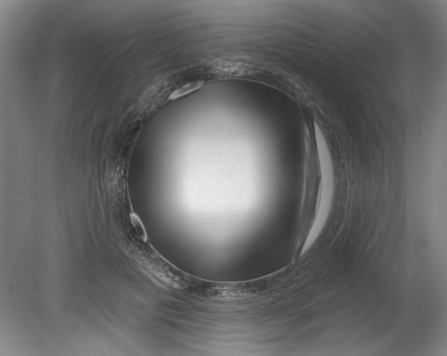 X0000080790601200701021226