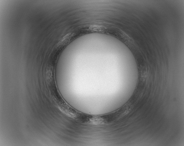 X0000080790603200701021226