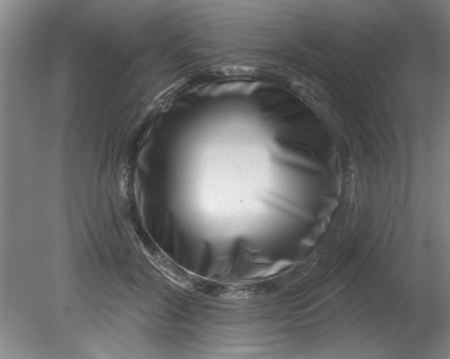 X0000080790604200701021226