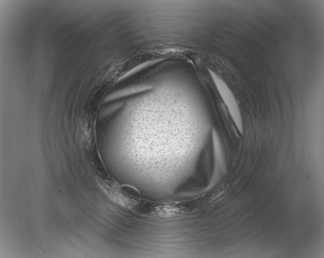 X0000080790607200701021226
