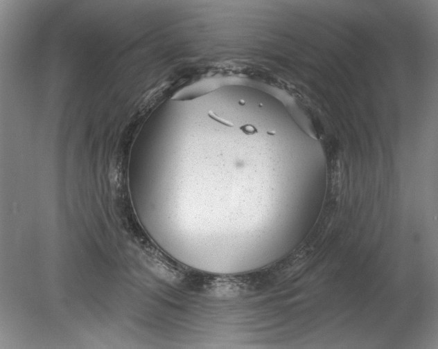 X0000080790608200701021226