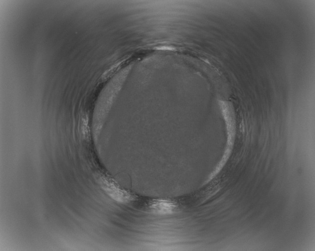 X0000080790610200701021226