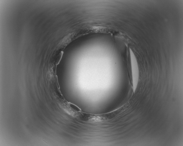 X0000080790611200701021226