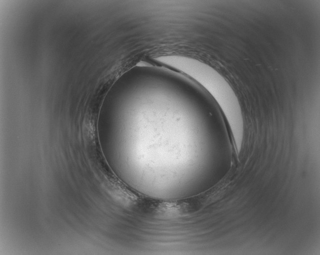 X0000080790613200701021226