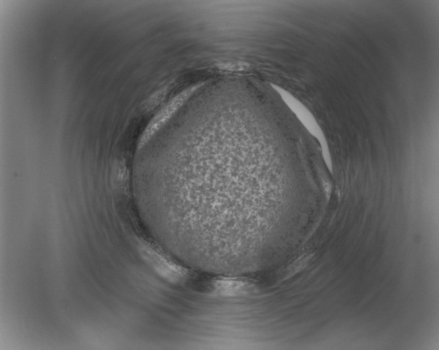 X0000080790614200701021226