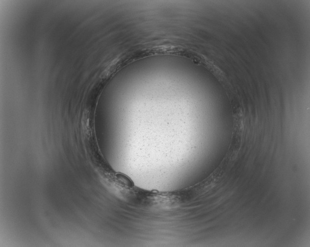 X0000080790615200701021226