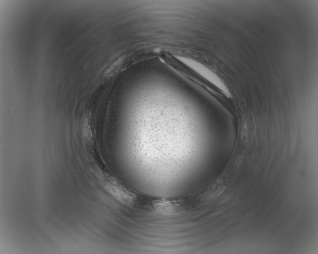 X0000080790616200701021226