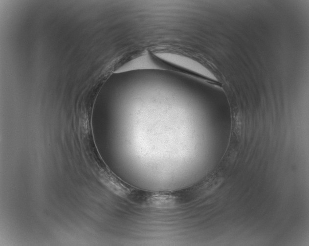 X0000080790617200701021226
