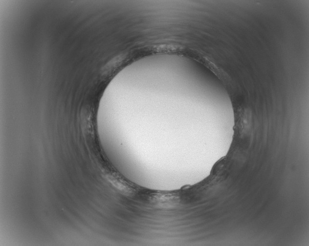 X0000080790619200701021226